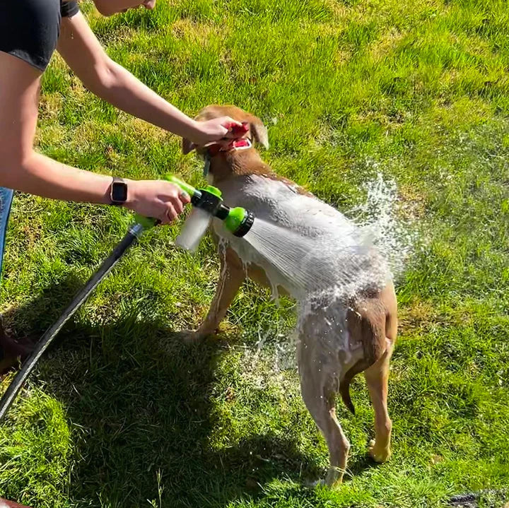 PetJet - Le Jet Spécial pour Laver votre Animal